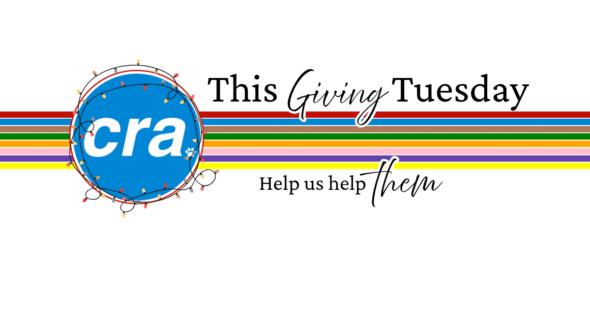 Giving Tuesday 2025 | Chicago Rescue Authority