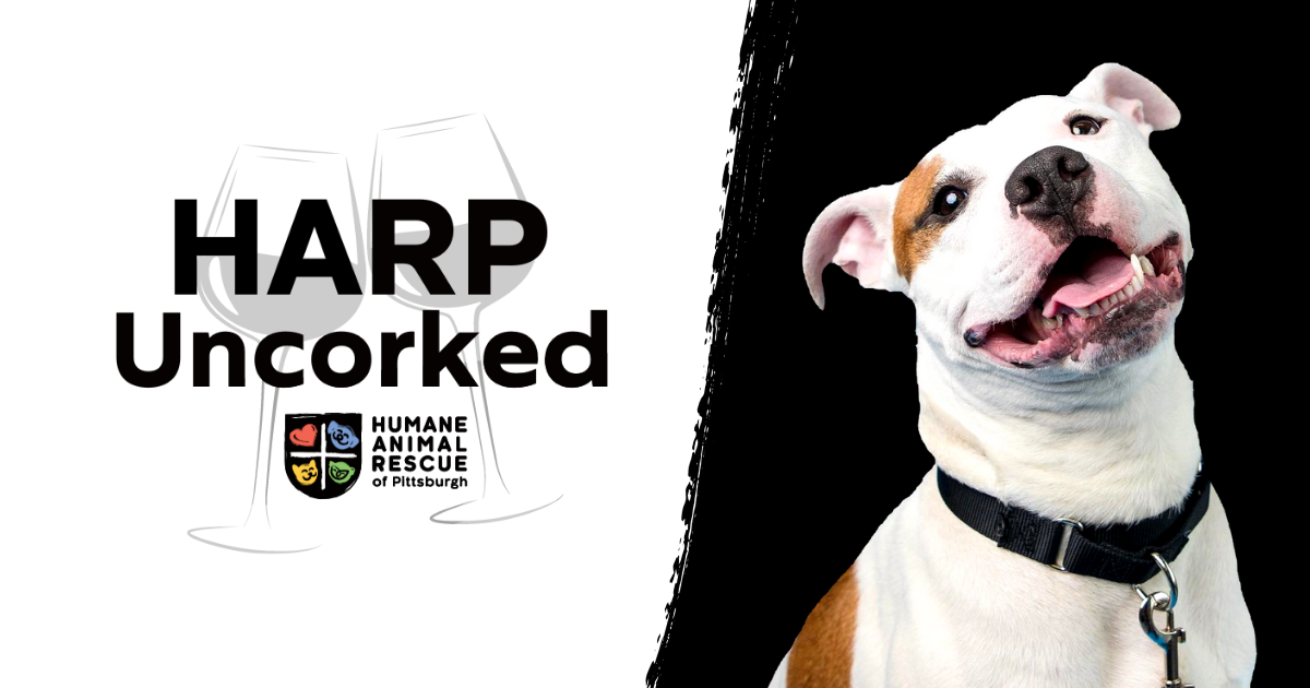 Campaign cover image for HARP Uncorked 2026