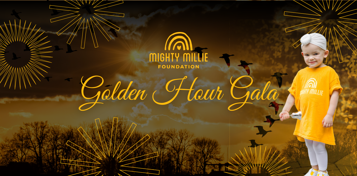 Campaign cover image for Golden Hour Gala and Silent Auction