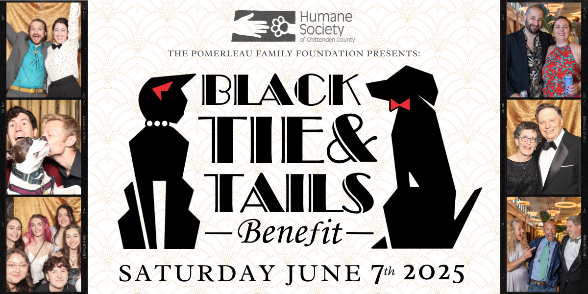Campaign cover image for Black Tie and Tails Benefit 2025