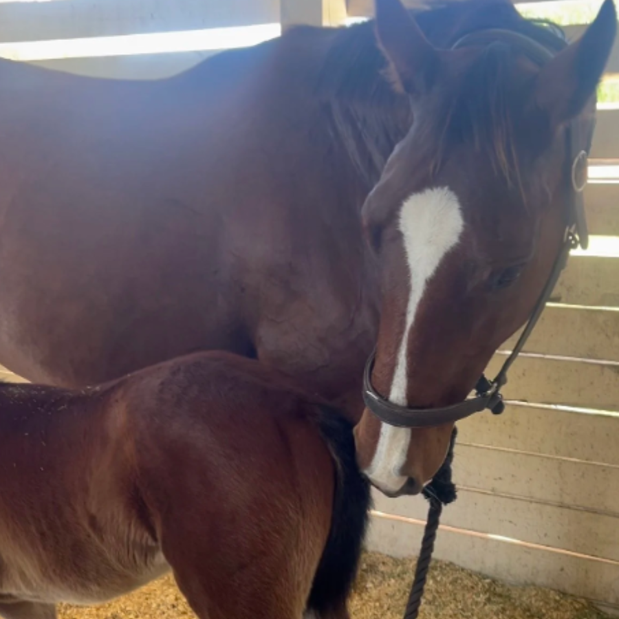 Campaign cover image for Sponsor Kathy