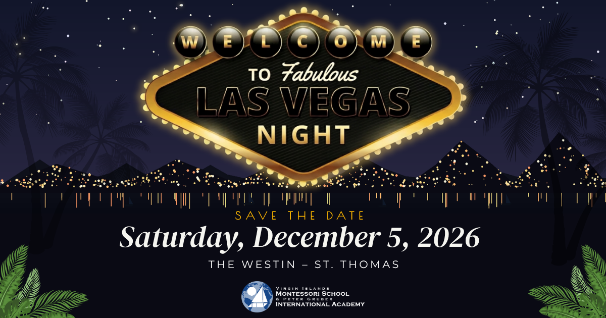 Campaign cover image for VIMSIA's Las Vegas Night 2026