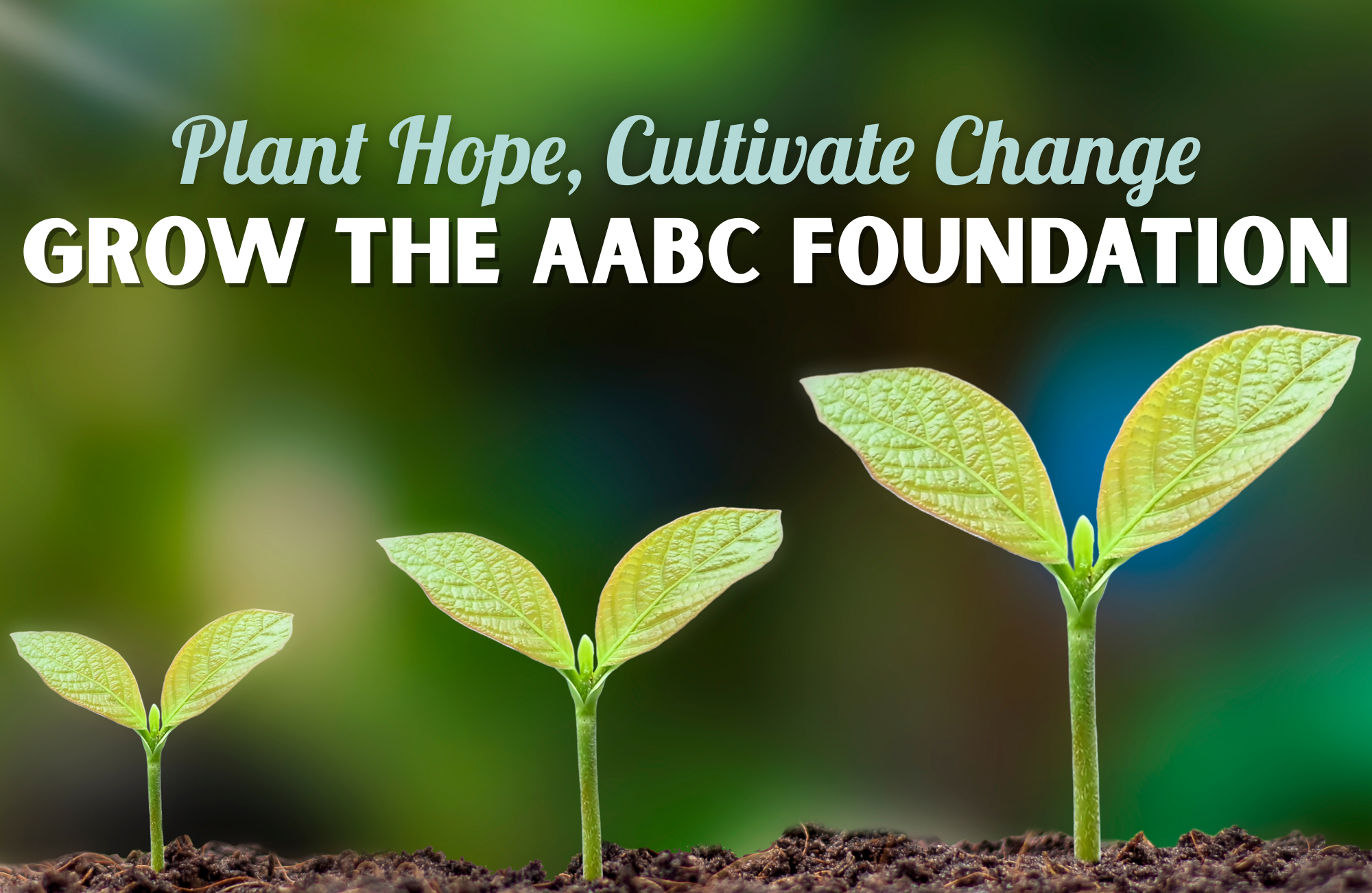 Campaign cover for 2026 Sponsorships