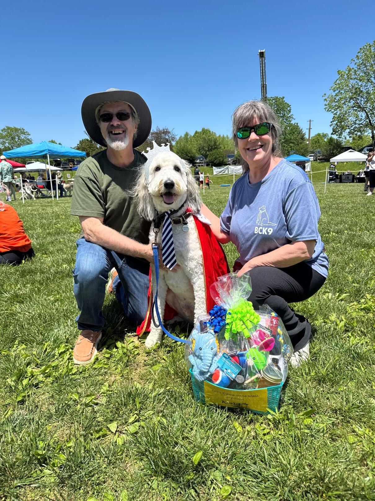 Campaign cover image for King and Queen of the Party