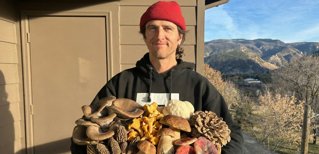 Campaign cover image for Sacred Mushroom Cultivation Workshop