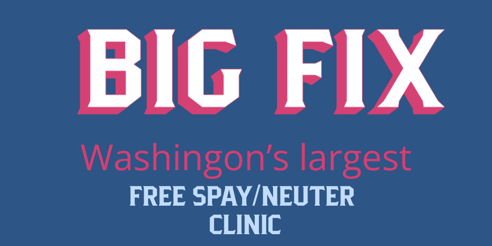 Campaign cover image for Spay/Neuter Clinic Fund