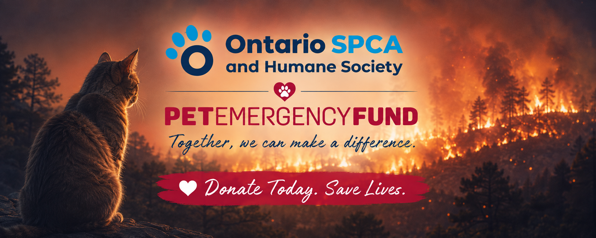 Campaign cover image for PEF Supports Animals Impacted by Wildfires