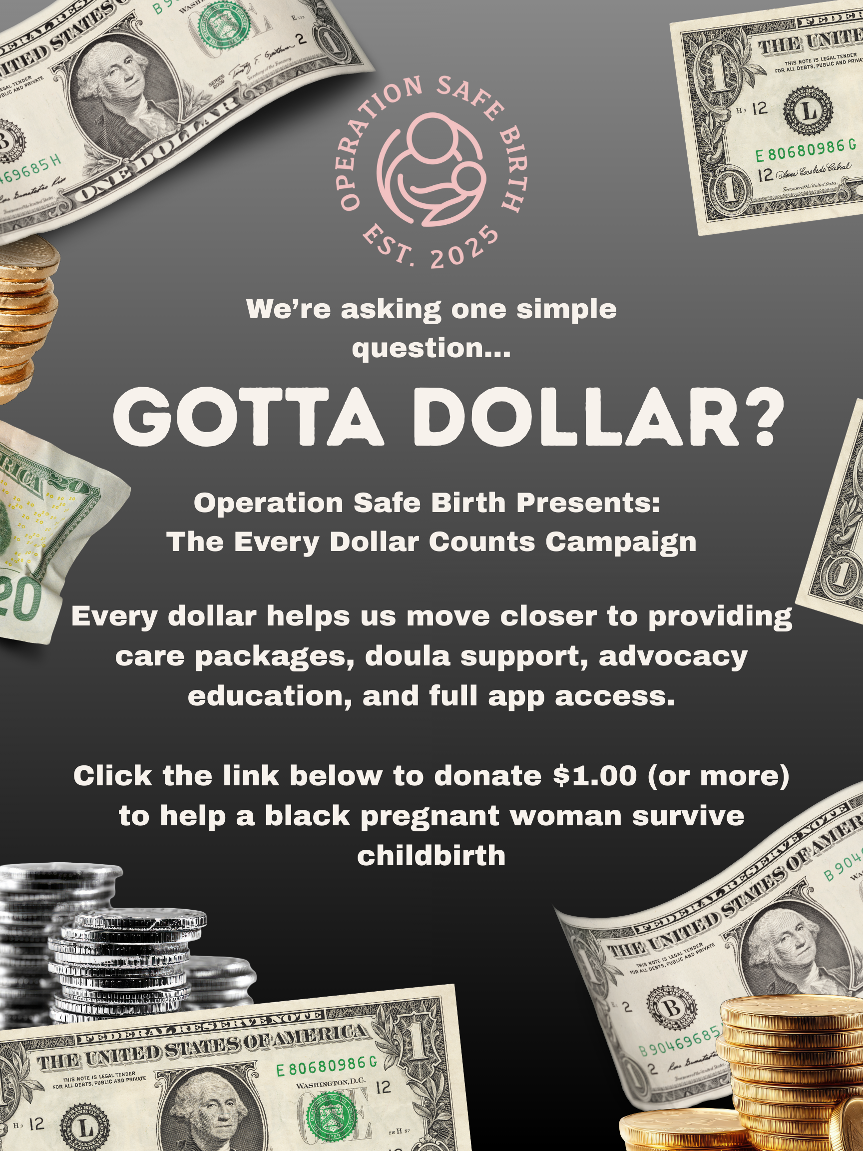 Campaign cover image for Gotta Dollar?
