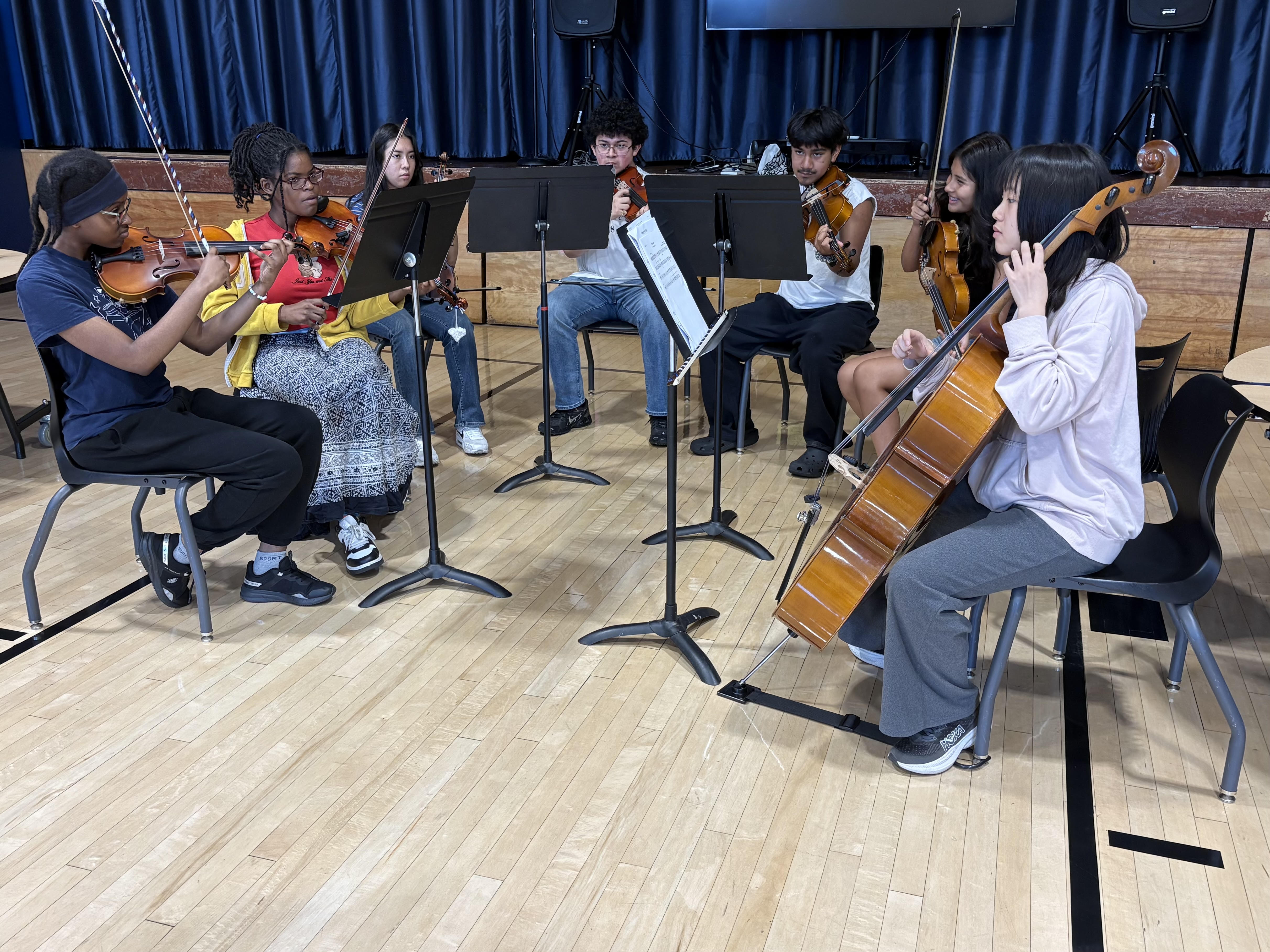 Campaign cover image for NAEF's Summer Strings Concert