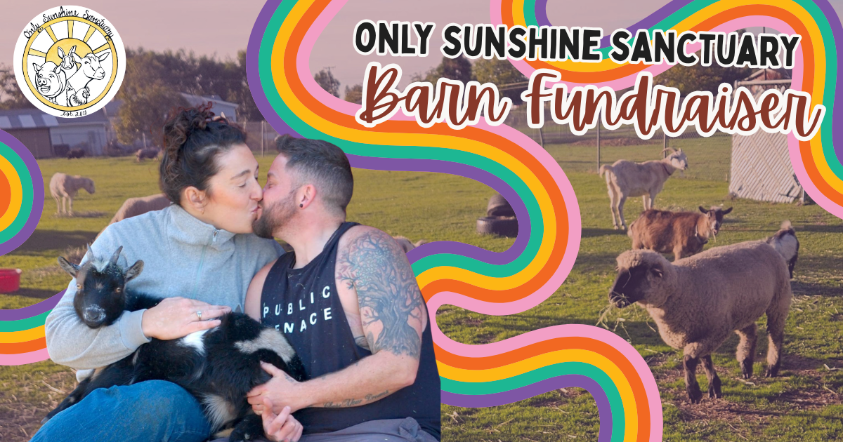 Campaign cover image for Party for a Purpose: Barn-Raising Engagement Celebration