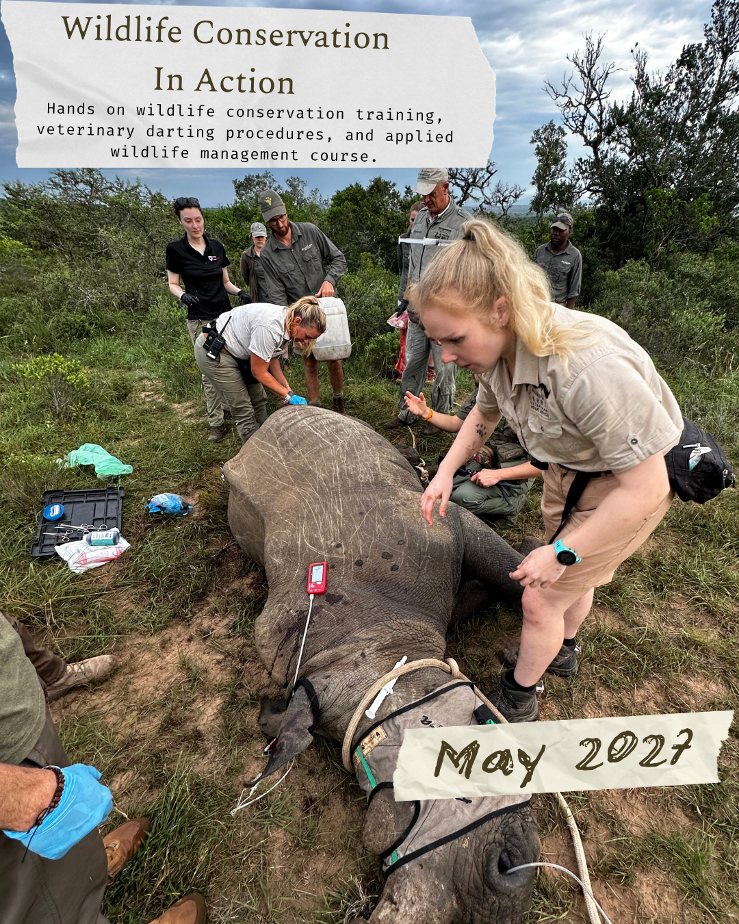 Campaign cover image for Wildlife Conservation In Action Course