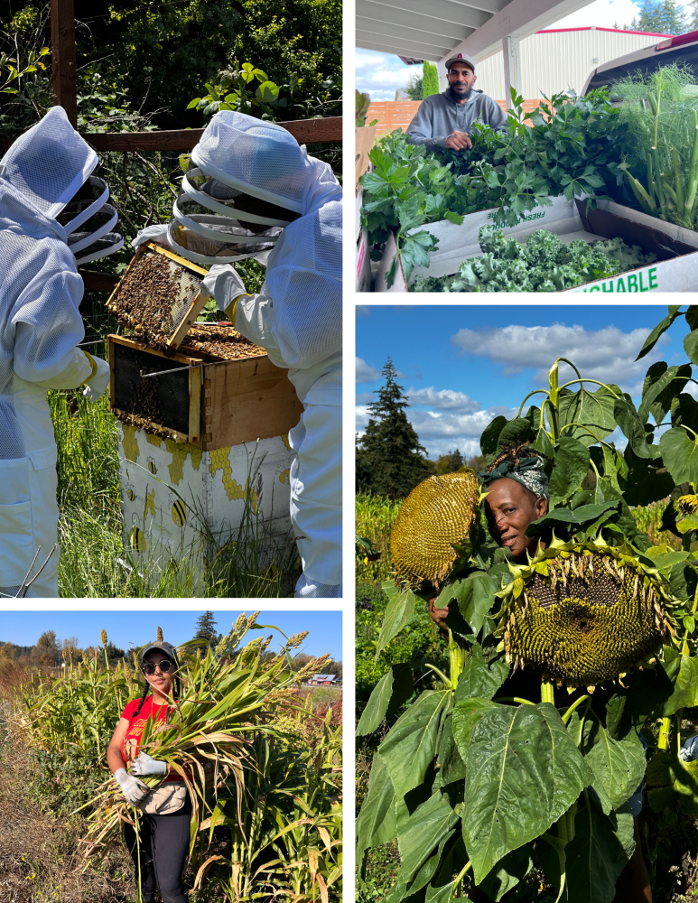 Campaign cover image for 🌱 Cultivating Justice, Nourishing Community: Support Haki Farmers Collective 🌱