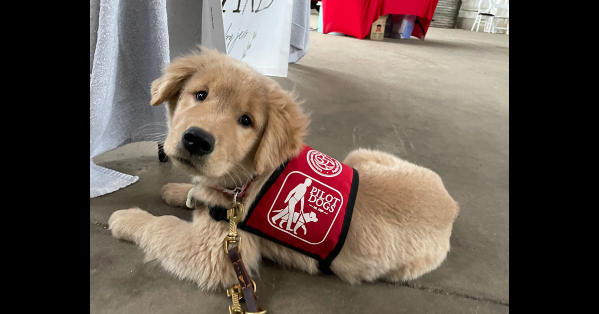 Campaign cover image for Pilot Dog's Alumni Convention