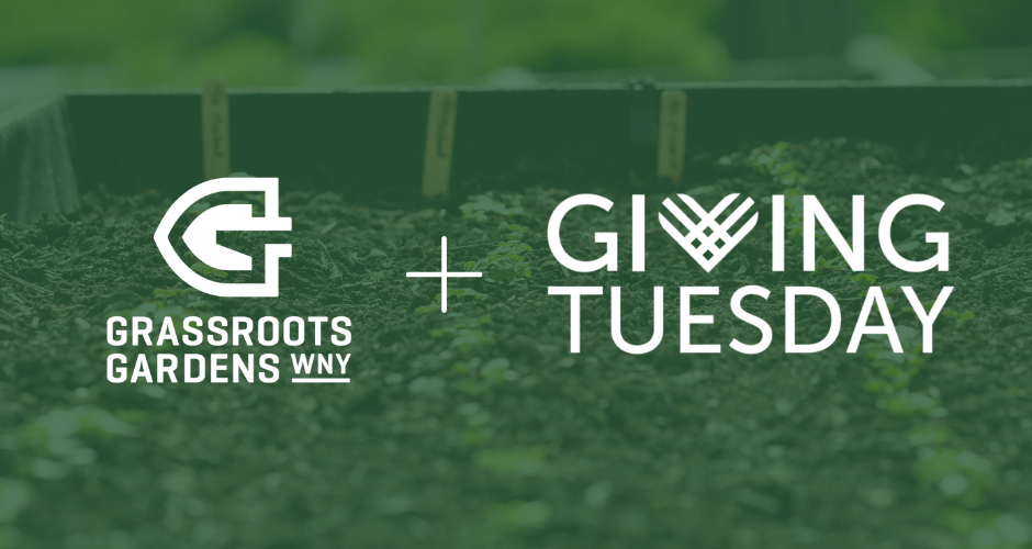 Campaign cover for Giving Tuesday + Grassroots Gardens WNY
