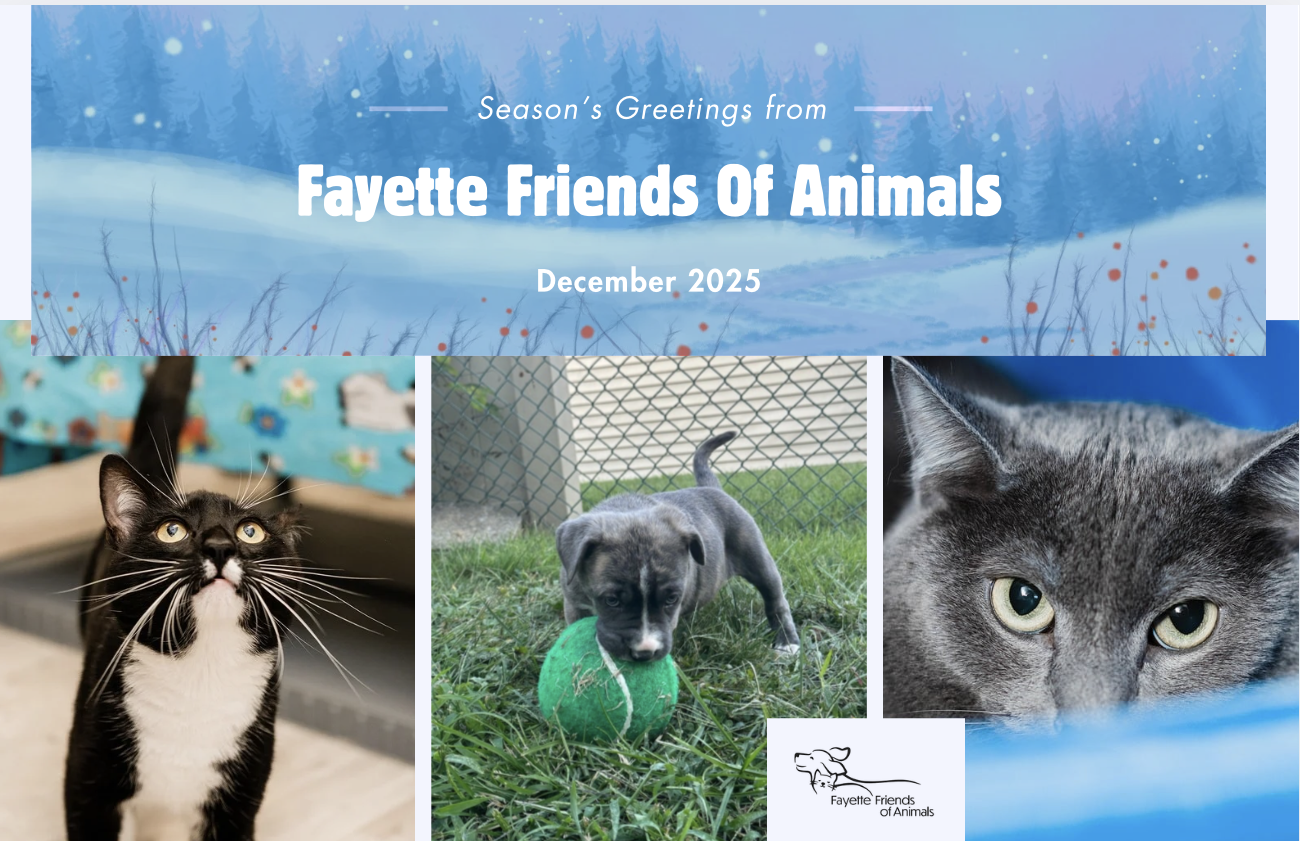 Campaign cover image for Winter Newsletter