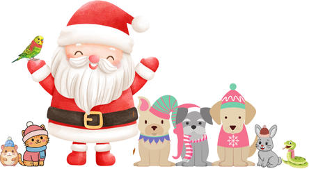 Campaign cover image for Pet Photos with Santa