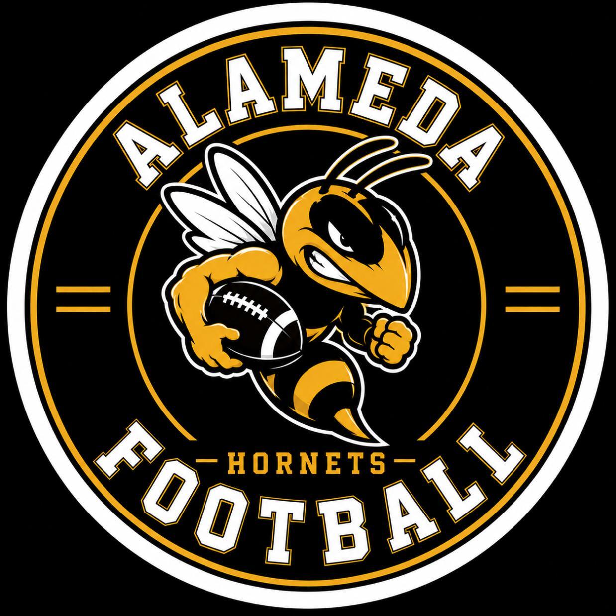 Campaign cover for Hornets Football Merch Store