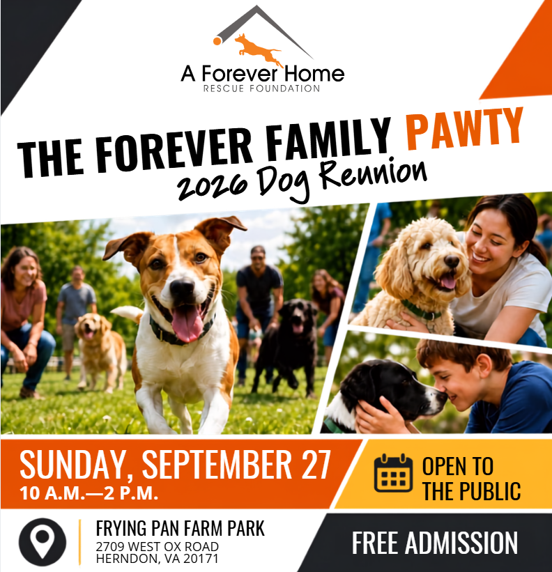 Campaign cover image for The Forever Family Pawty: 2026 Dog Reunion
