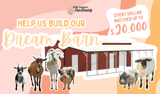 Campaign cover image for All gifts MATCHED for our dream barn!