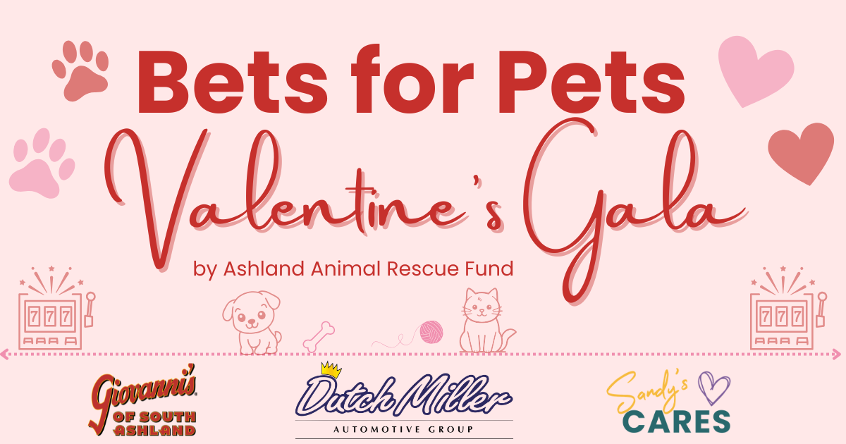 Campaign cover image for Bets for Pets Valentine's Gala