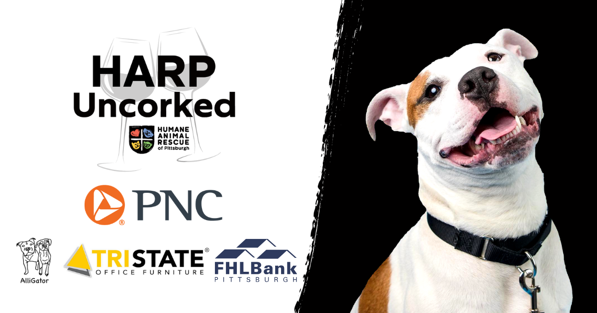 Campaign cover image for HARP Uncorked 2026