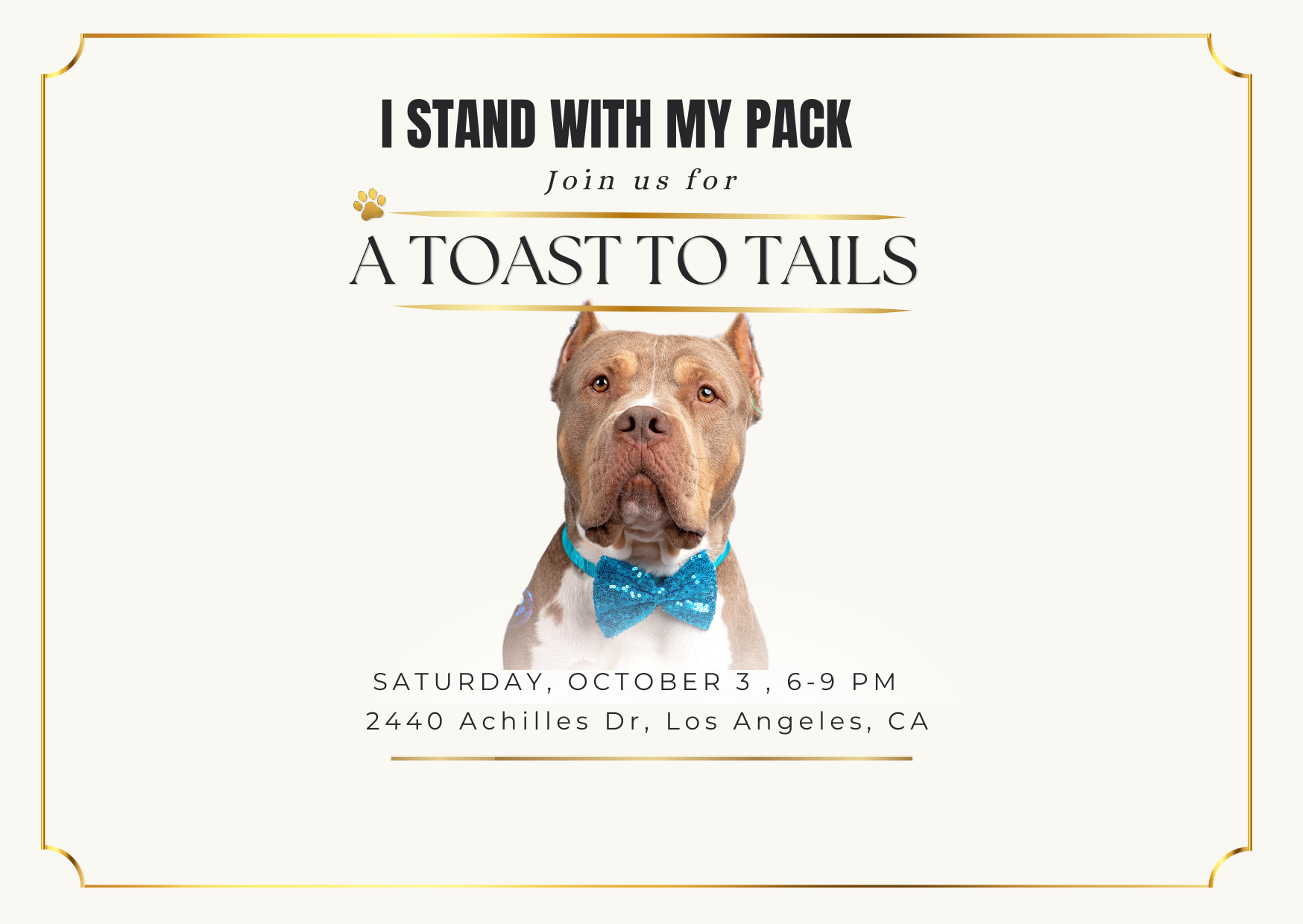 Campaign cover image for A Toast To Tails