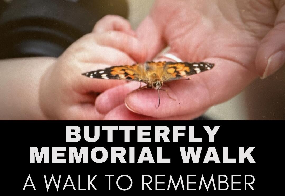 Campaign cover image for 2025 Butterfly Memorial Walk