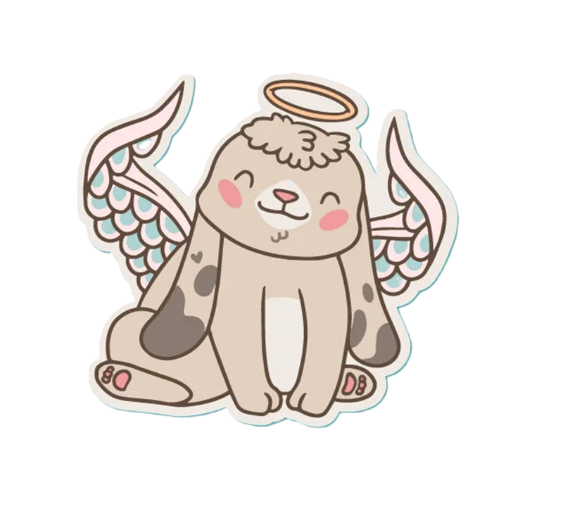 Campaign cover for Become an Animal Angel Today!