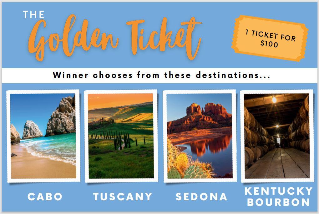 Campaign cover image for Golden Ticket Raffle