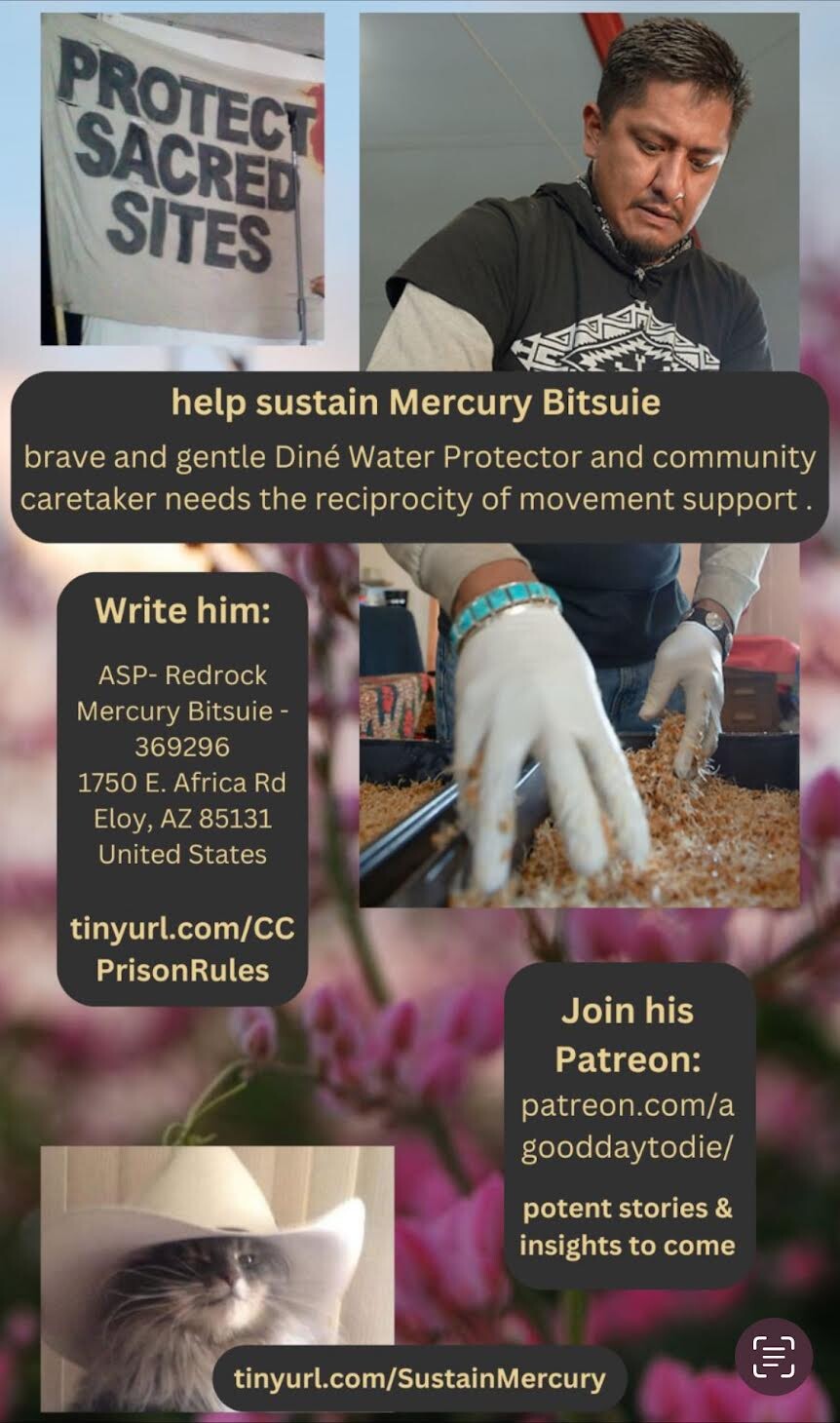 Campaign cover image for Help Mercury with Medical Expenses