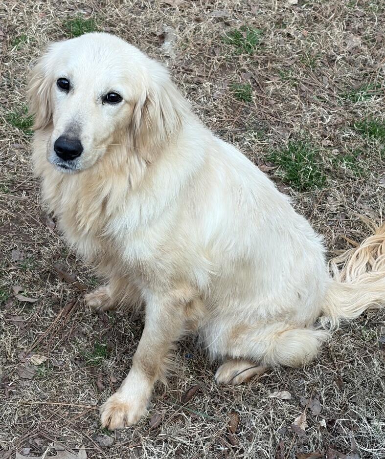 Campaign cover for Buck Rogers HW+