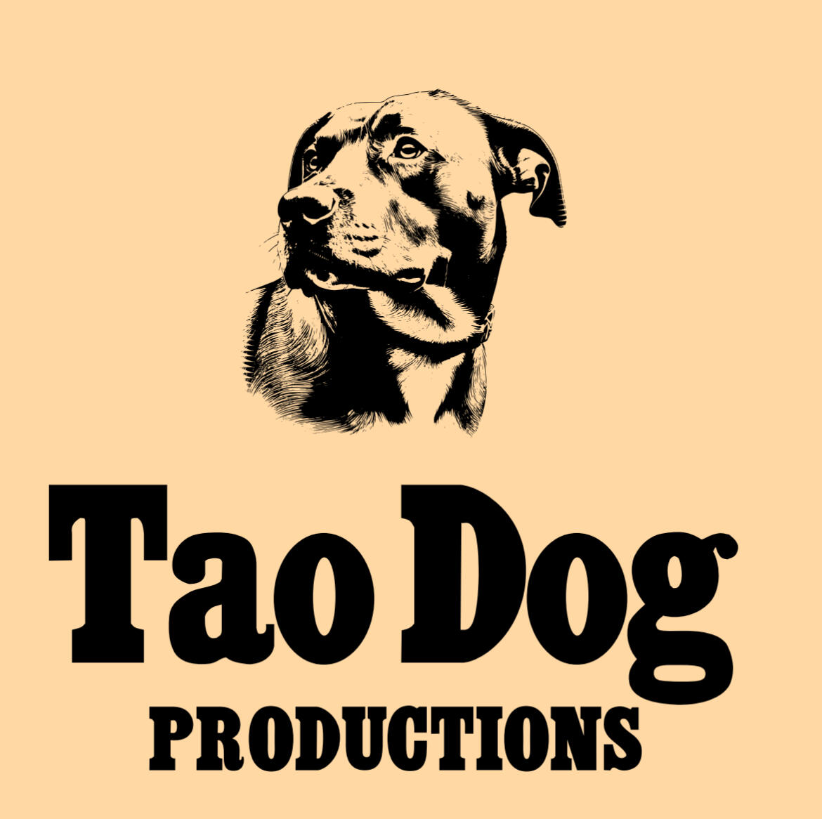 Campaign cover for Tao Dog Productions