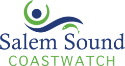 Campaign cover image for SSCW