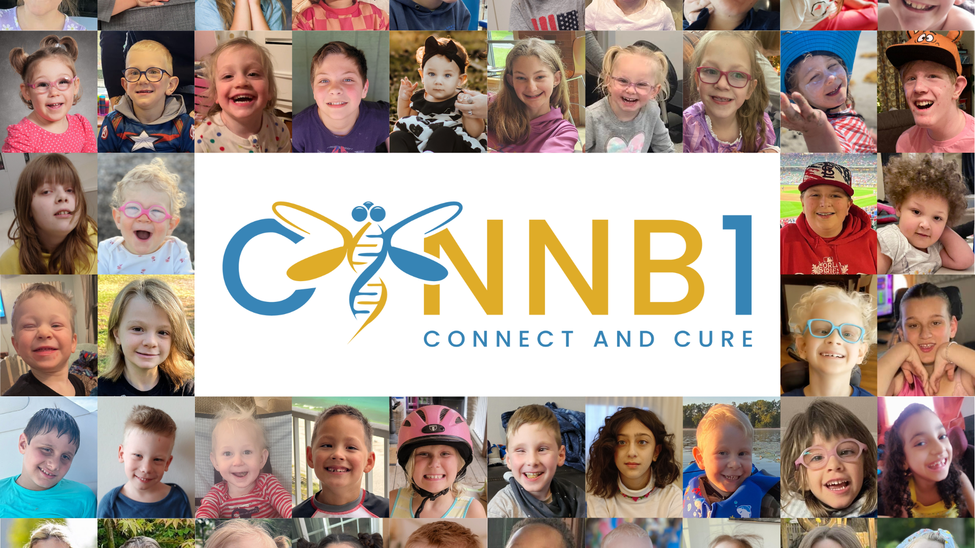Dragonfly Donations Ctnnb1 Connect And Cure