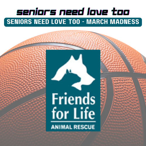 Campaign cover image for SNLT - March Madness 24