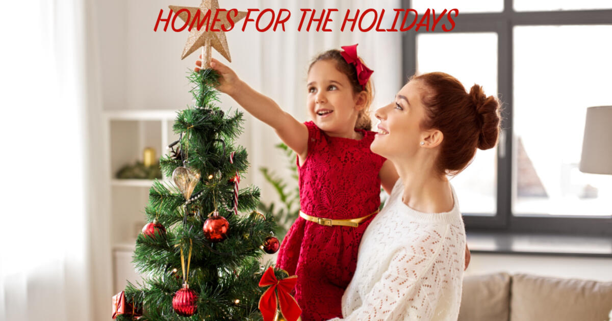 Campaign cover image for Homes for the Holidays