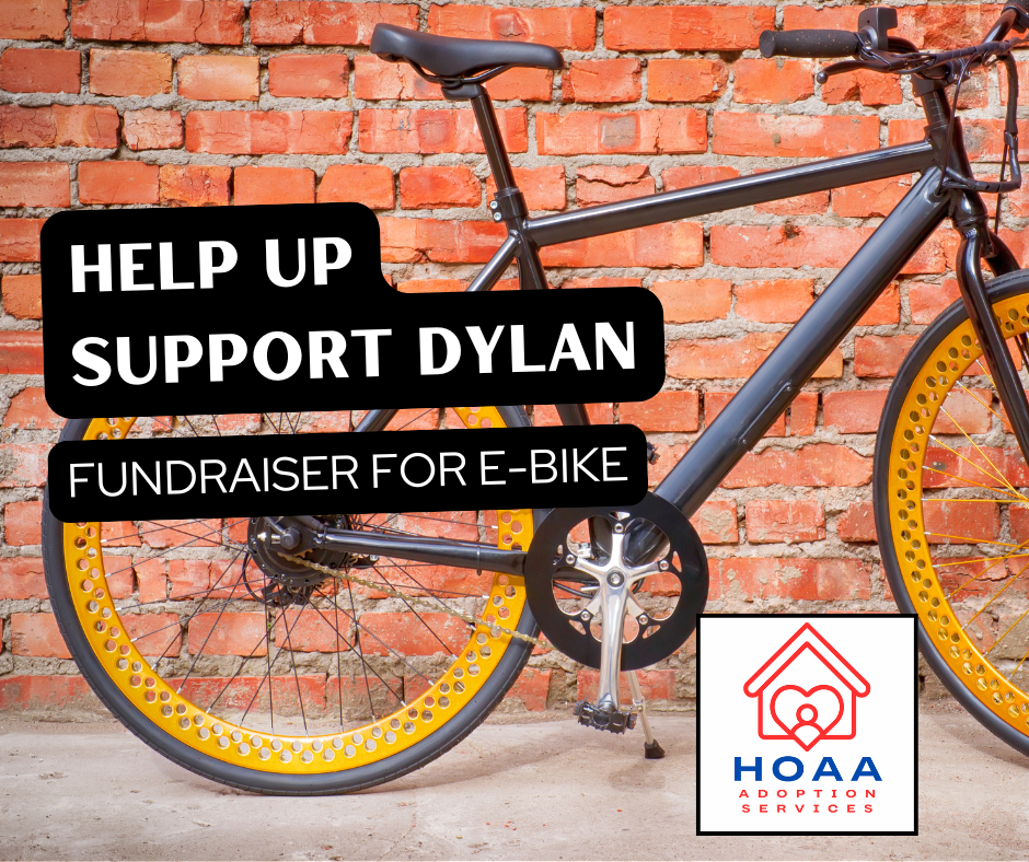 Campaign cover image for E-Bike for Dylan