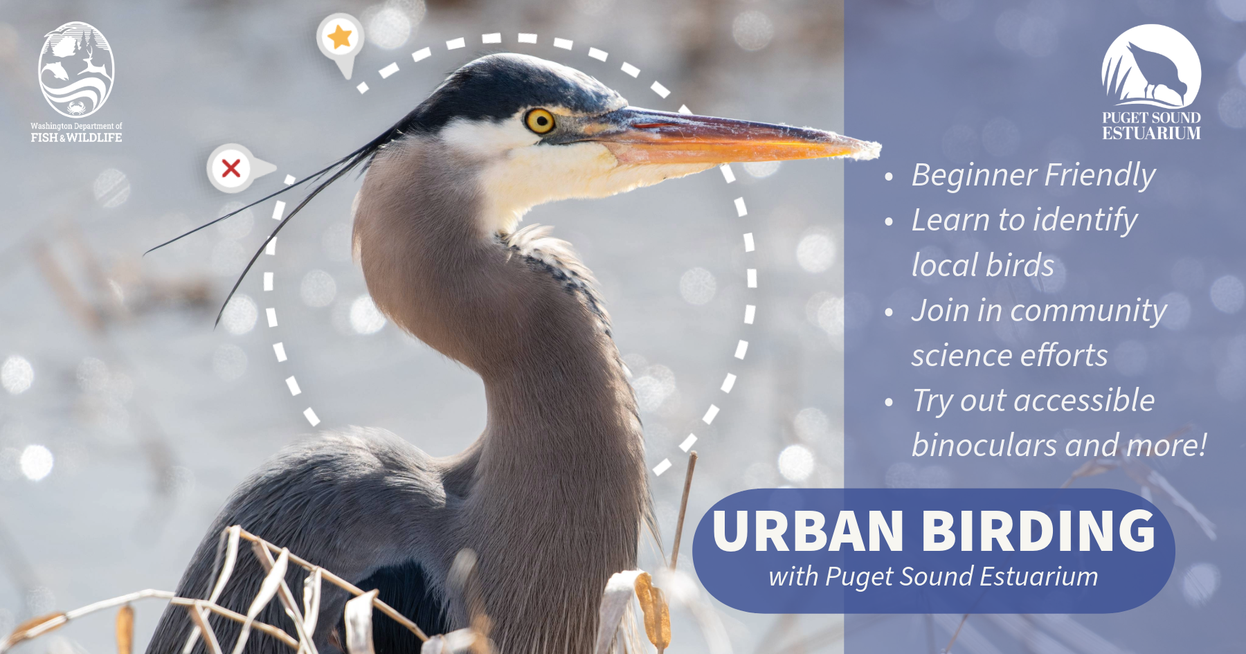 Campaign cover image for Urban Birding APRIL 2026