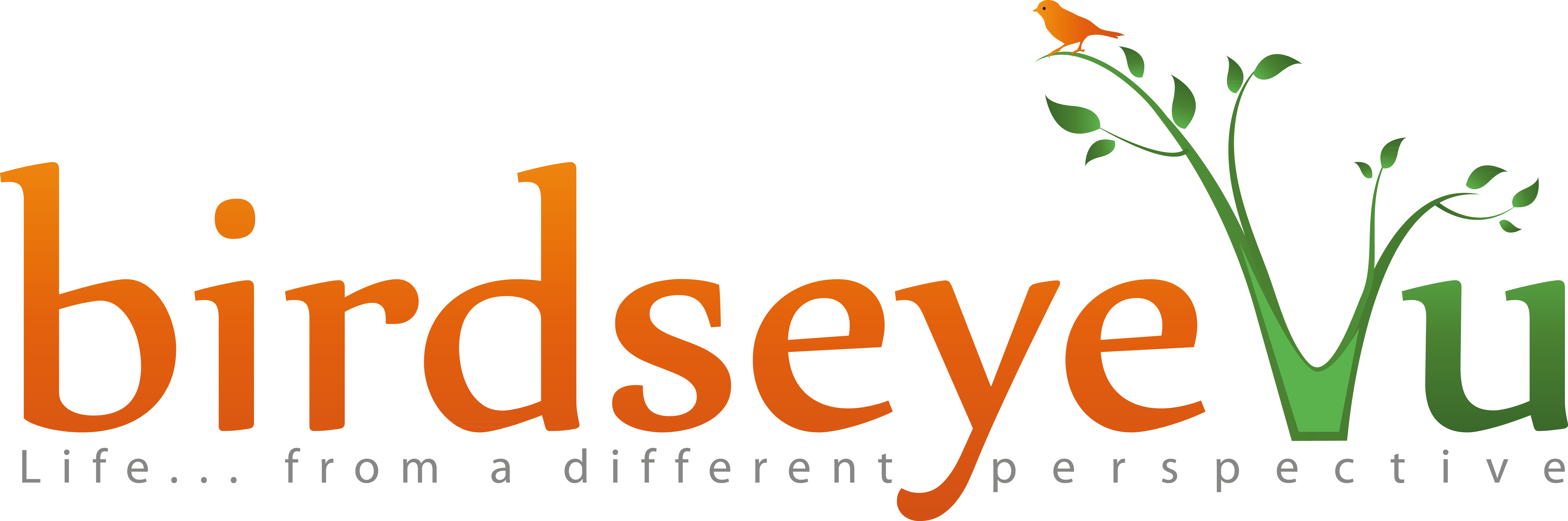 Campaign cover image for General Donations