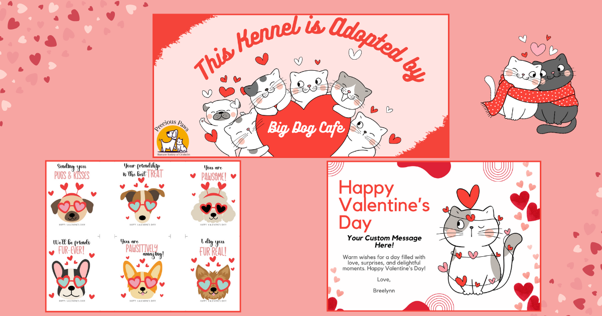Campaign cover image for Valentine's Day Fundraiser
