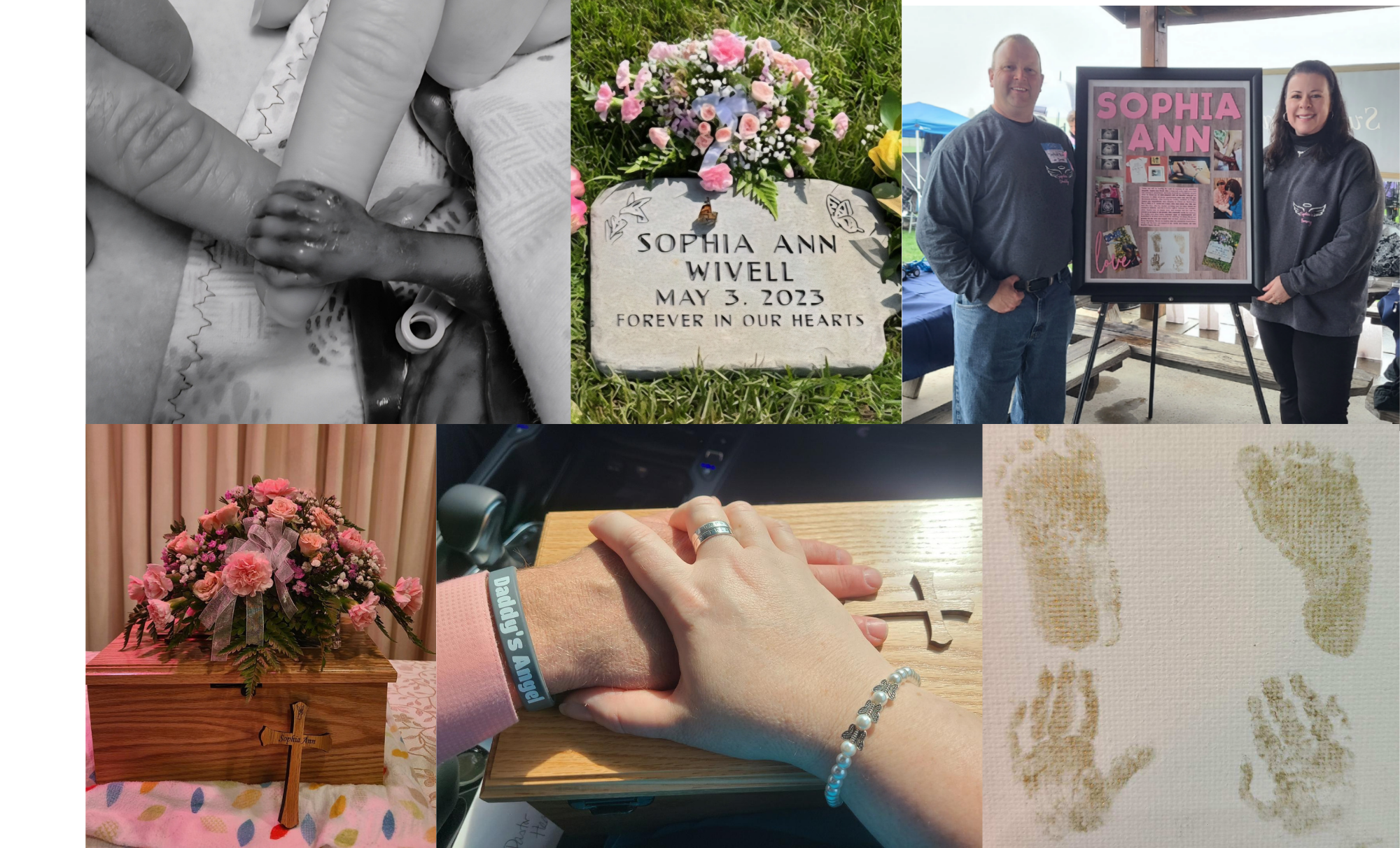 Campaign cover image for Sophia Ann's Birthday