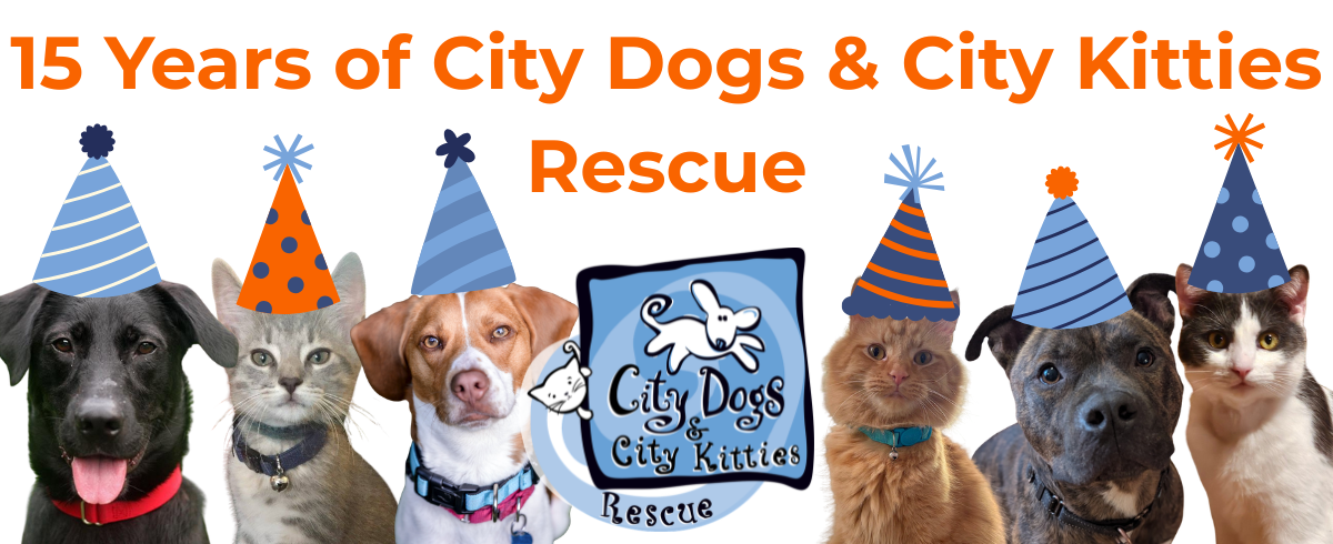 Campaign cover image for City Dogs & City Kitties Rescue 15th Anniversary Party!