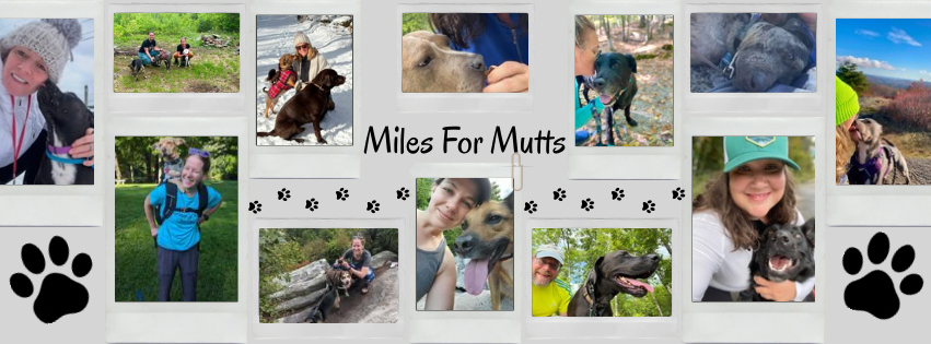 Miles For Mutts