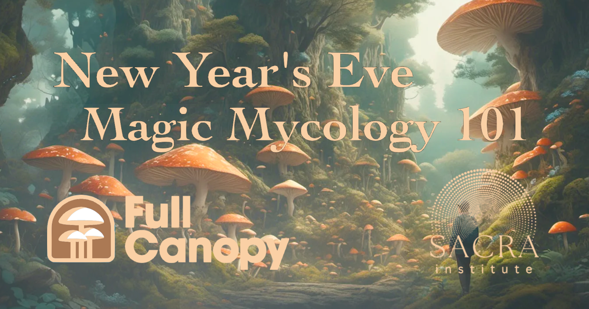 Campaign cover image for NYE Magic Mycology 101