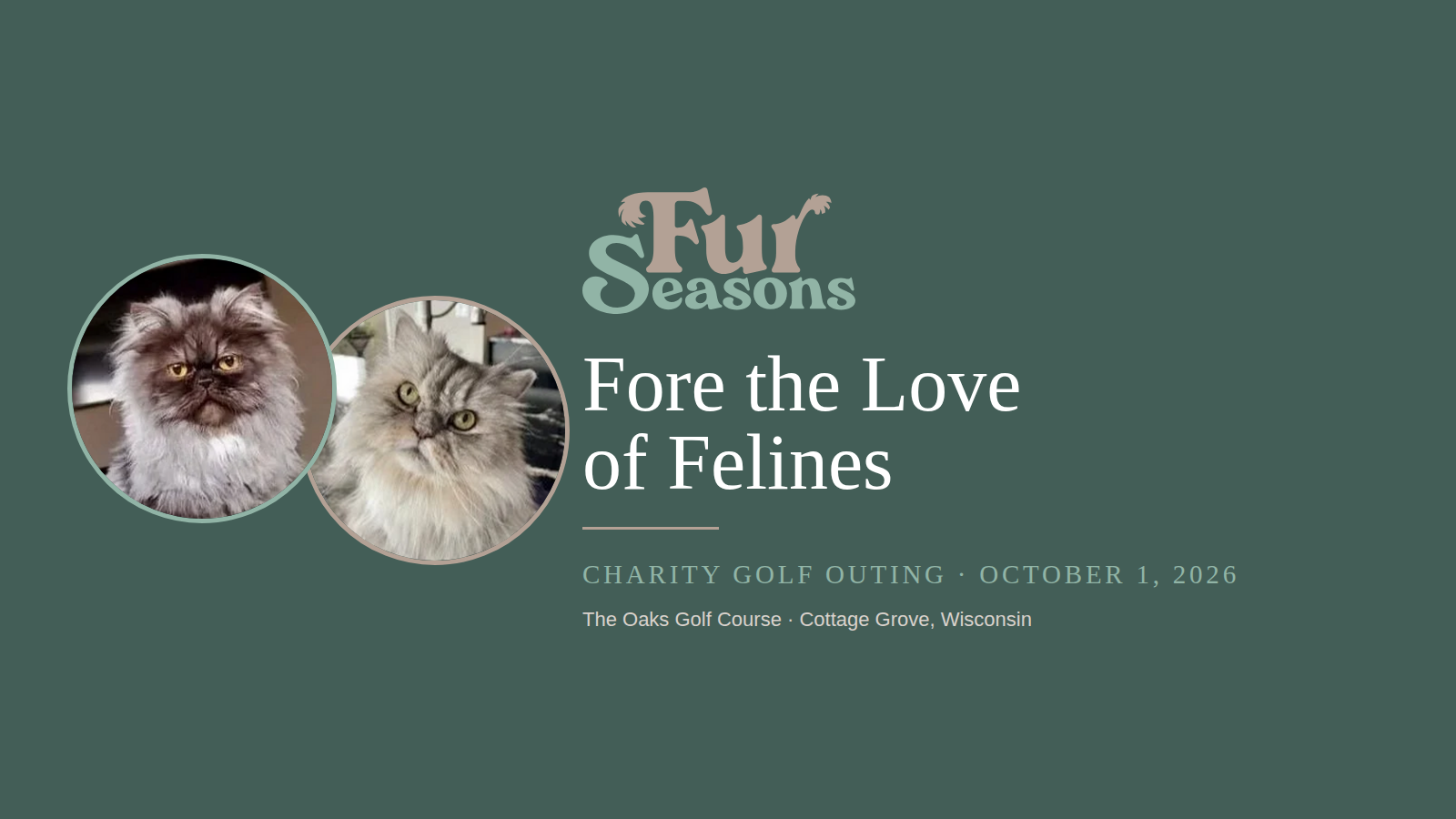Campaign cover image for Fore the Love of Felines — Charity Golf Outing