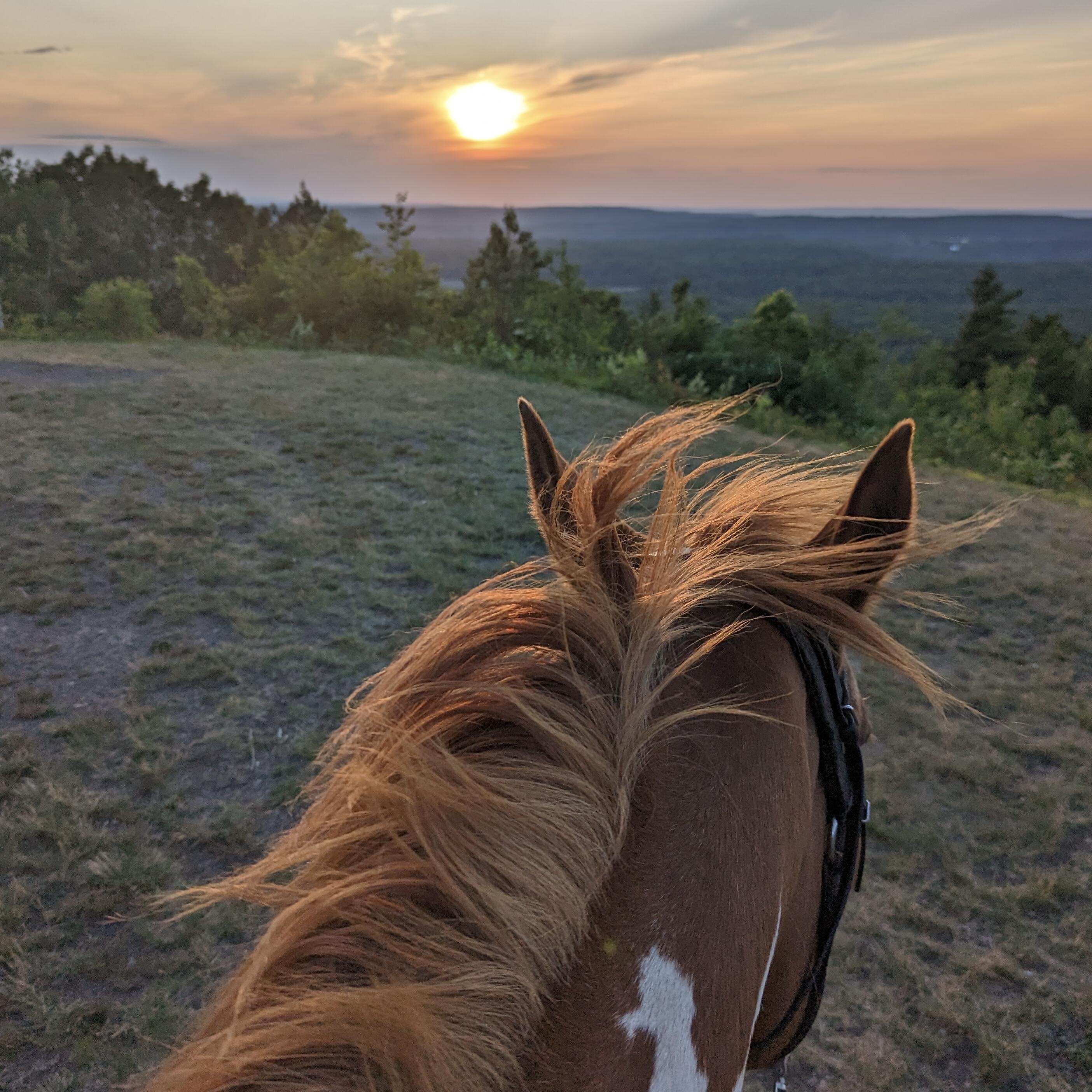 Campaign cover image for Horse Pole Barn