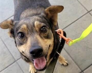 Campaign cover for Blaze: Beaten with a Bat