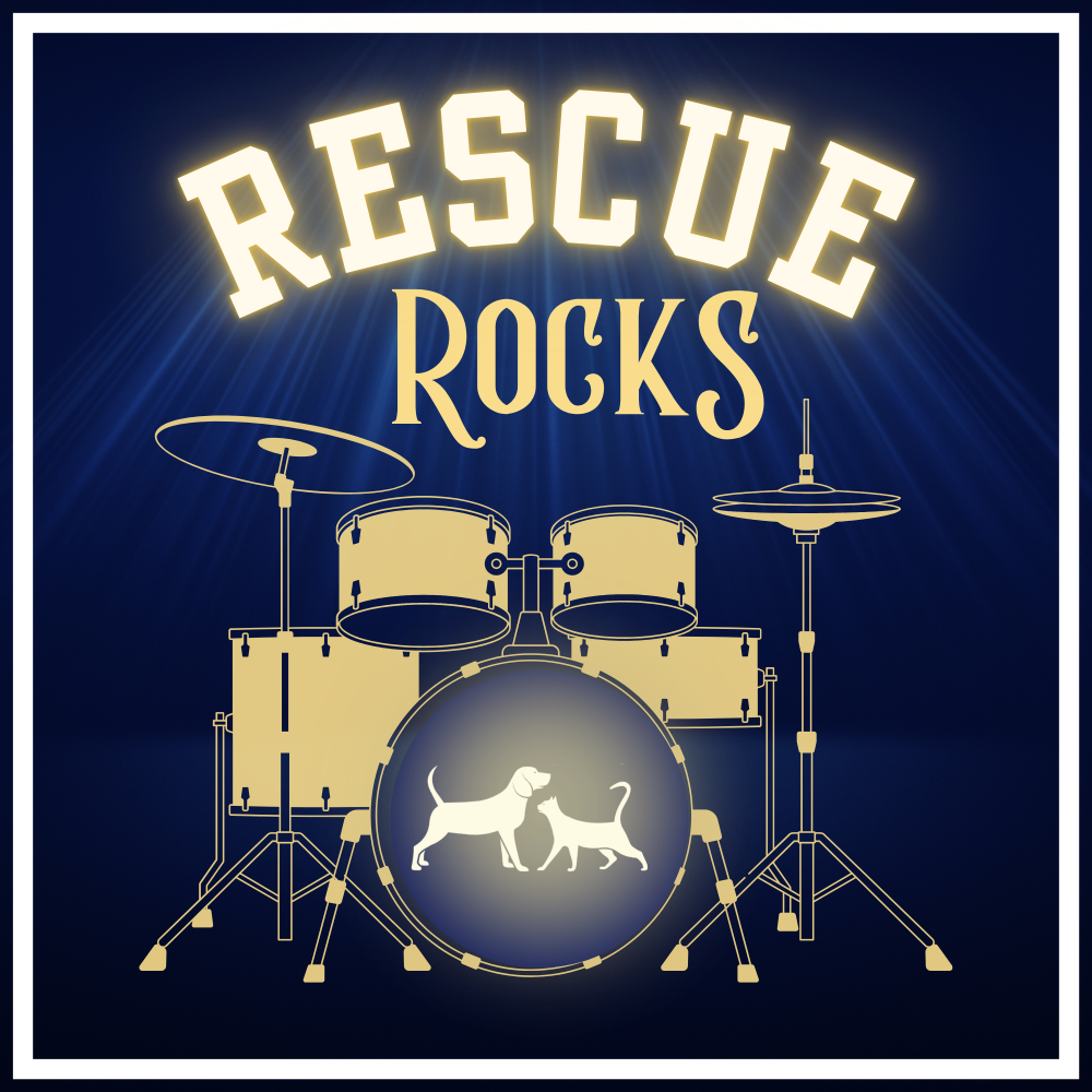Campaign cover image for Rescue Rocks 2026