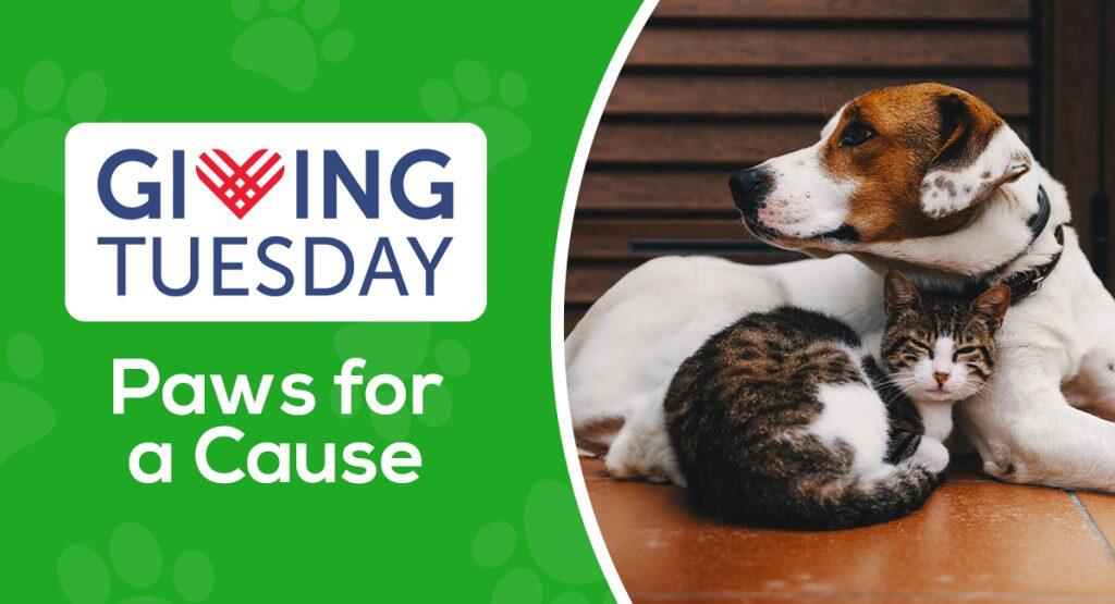 Campaign cover image for Paws For A Cause: Transforming Lives 4 Paws at a Time on Giving Tuesday