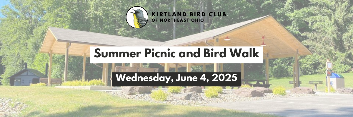 Campaign cover image for Kirtland Bird Club Summer Picnic and Bird Walk